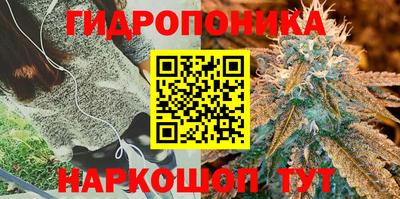 гидра Кандалакша