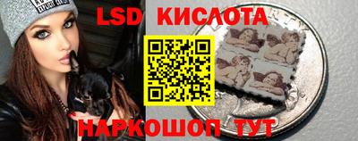 гидра Кандалакша