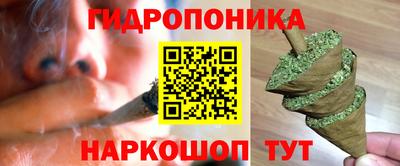 гидра Кандалакша