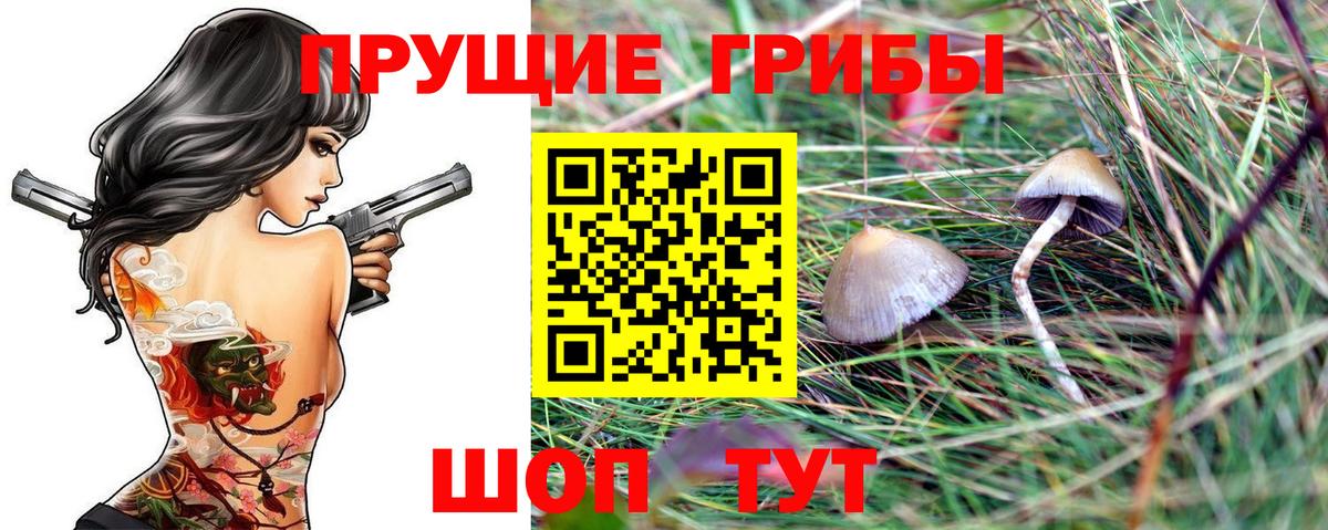 Псилоцибиновые грибы мухоморы Прокопьевск