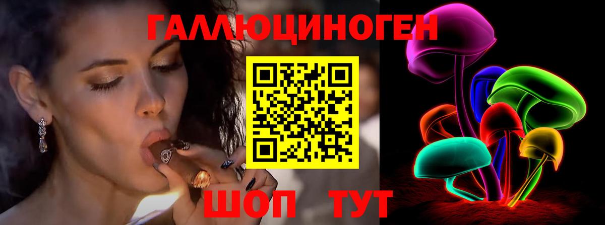 Прокопьевск  Галлюциногенные грибы Psilocybe  Вход с VPN  наркошоп  Псилоцибиновые грибы мицелий 